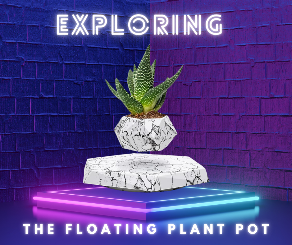Exploring the Floating Plant Pot-techgadgetsolution.com