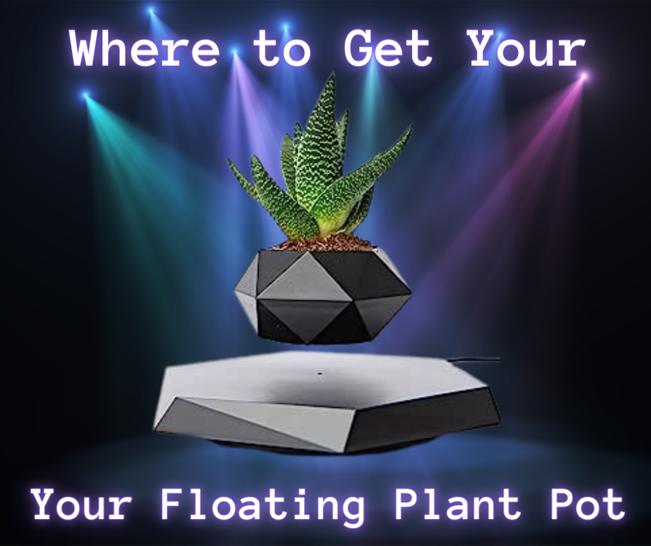 Where to Get Your Floating Plant Pot techgadgetsolution.com %